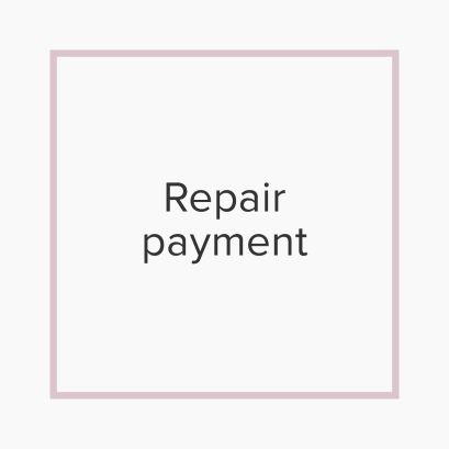 Repair Payment